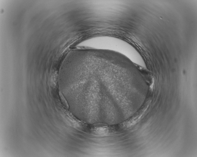 X0000086930325200705071359