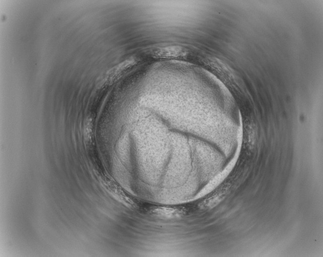 X0000086930326200705071359