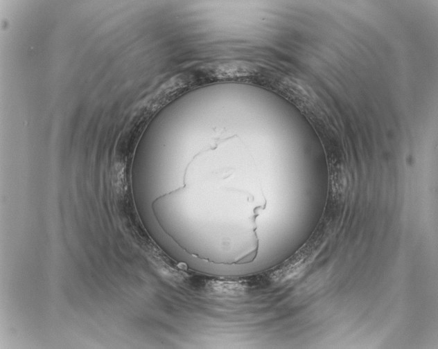 X0000086930327200705071359