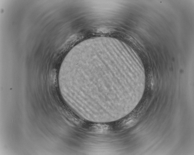 X0000086930328200705071359