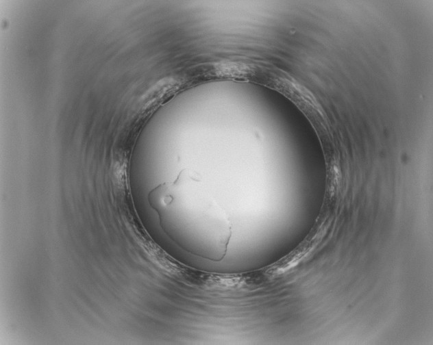 X0000086930329200705071359