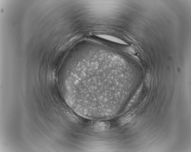 X0000086930330200705071359