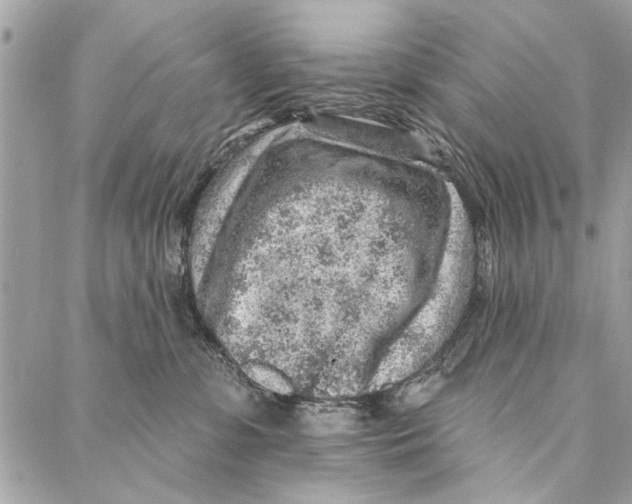 X0000086930331200705071359