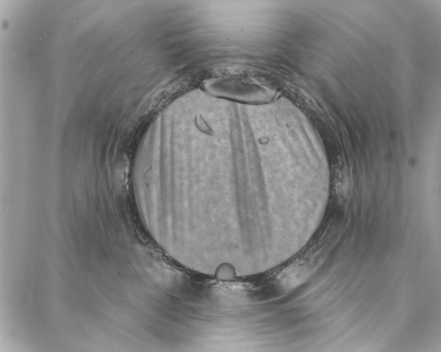 X0000086930332200705071359