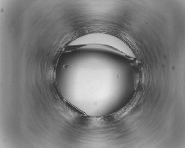 X0000086930333200705071359