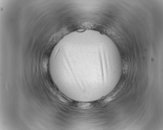 X0000086930334200705071359