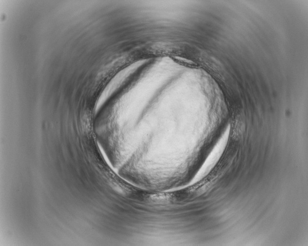 X0000086930335200705071359