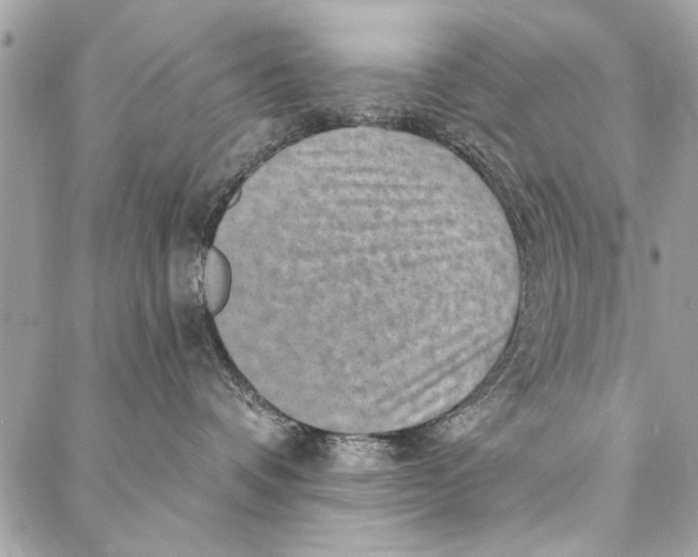 X0000086930336200705071359