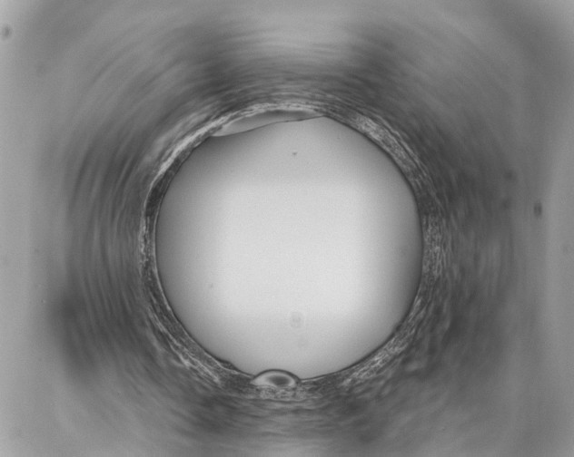 X0000086930338200705071358