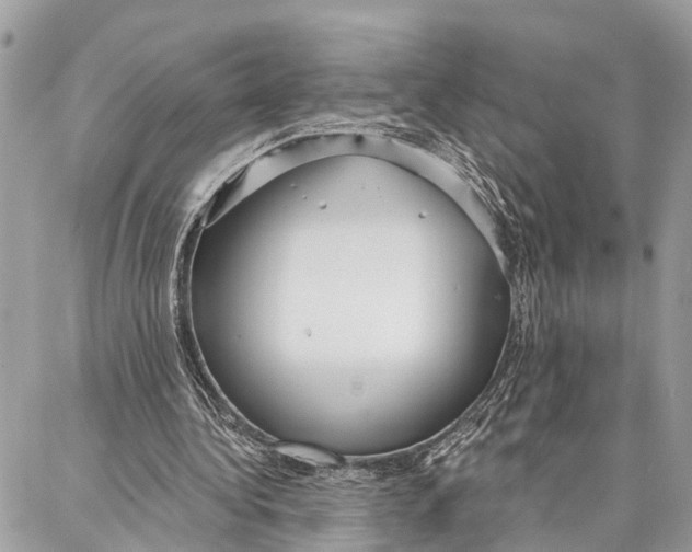 X0000086930340200705071358