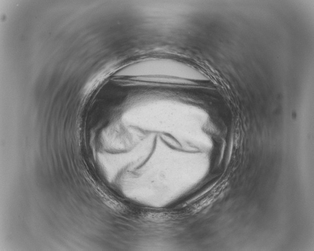 X0000086930341200705071358