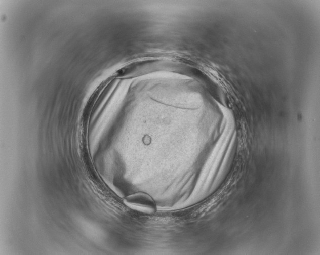 X0000086930342200705071358