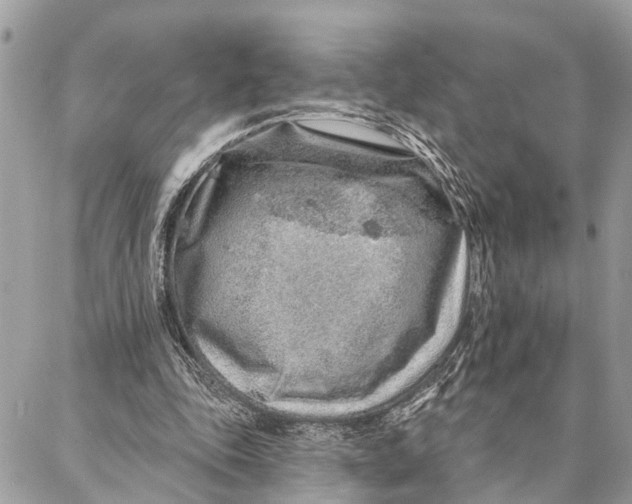 X0000086930343200705071358