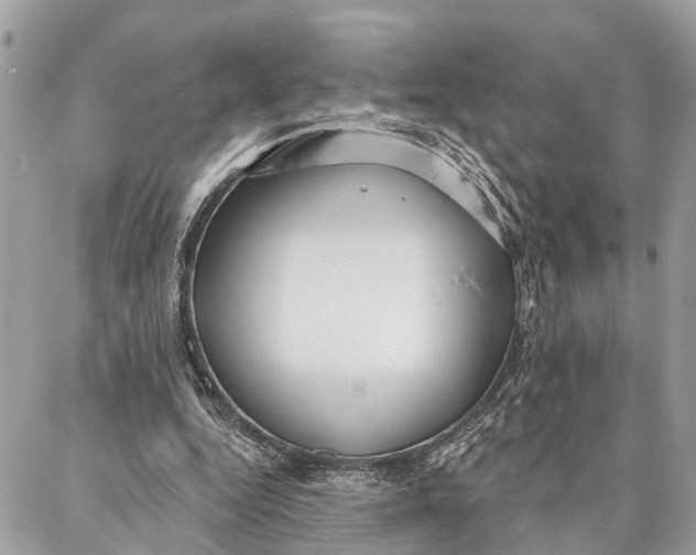 X0000086930344200705071358