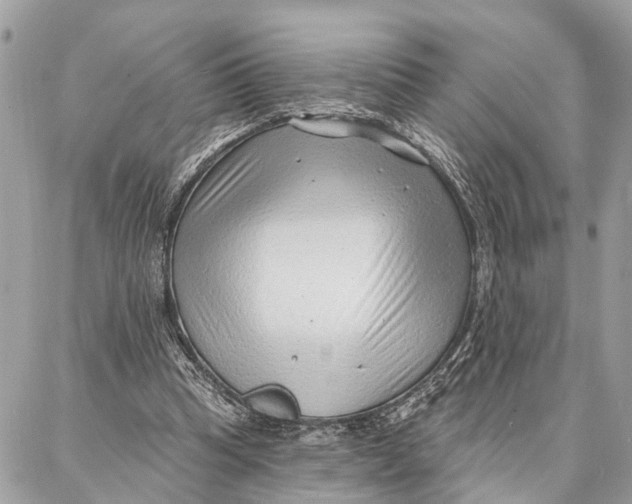 X0000086930345200705071358