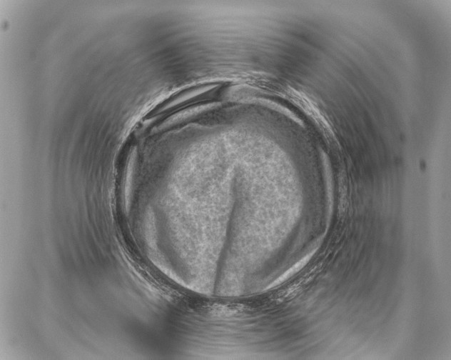 X0000086930346200705071358