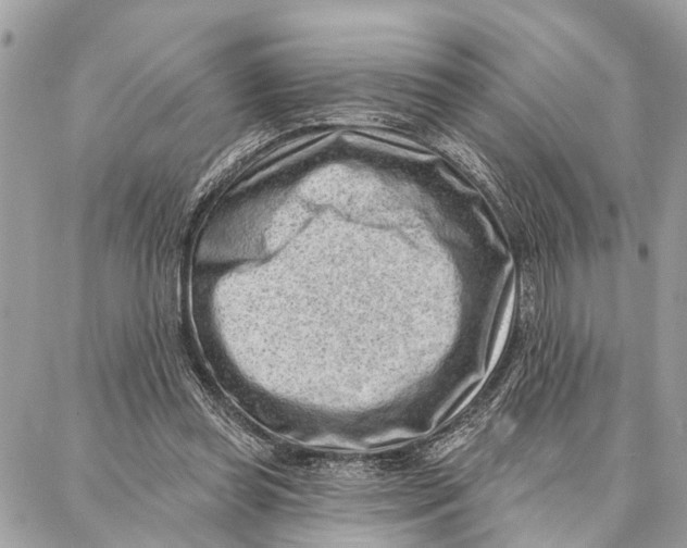 X0000086930349200705071359