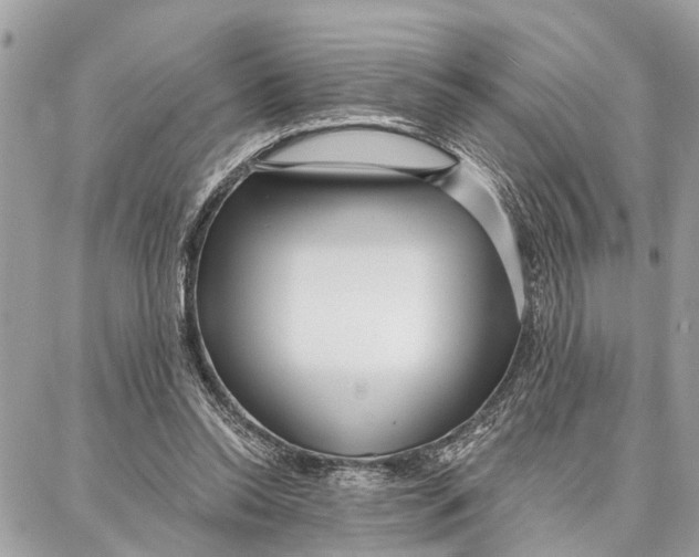 X0000086930350200705071359