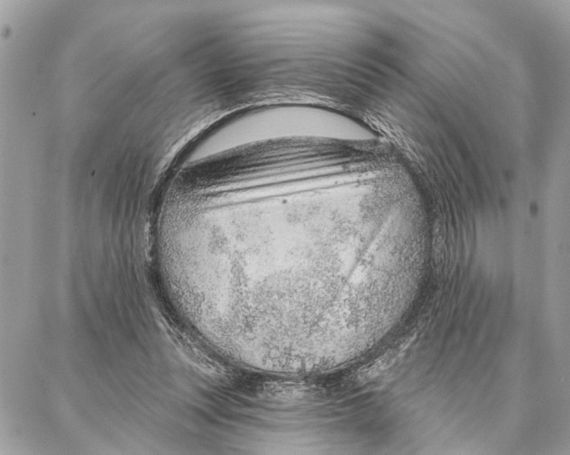 X0000086930351200705071359