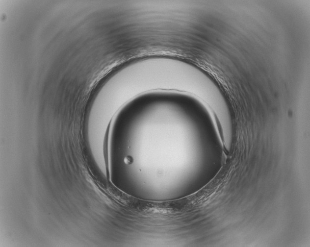 X0000086930352200705071359