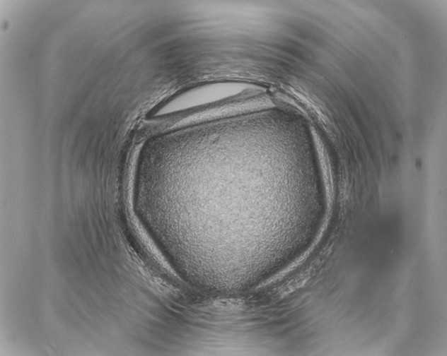 X0000086930353200705071359