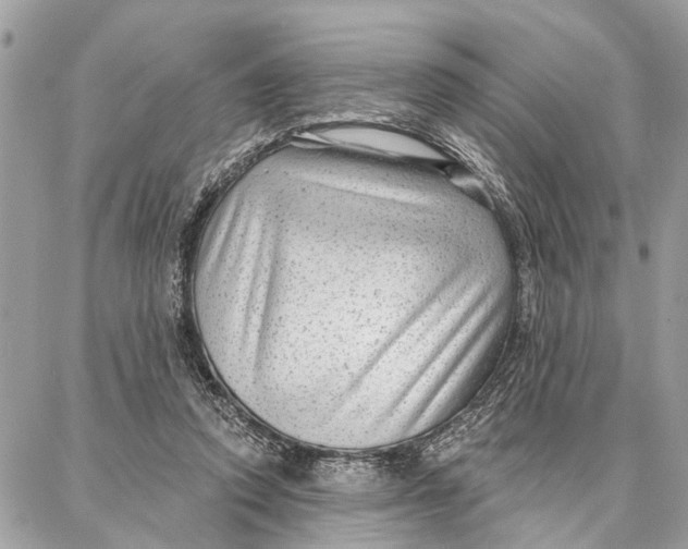 X0000086930354200705071359