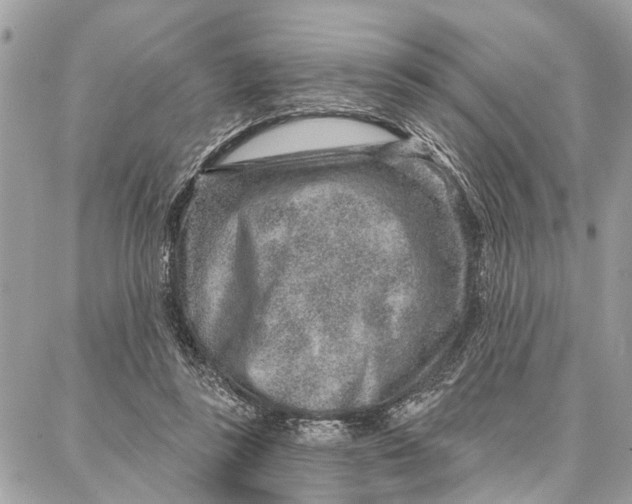 X0000086930355200705071359