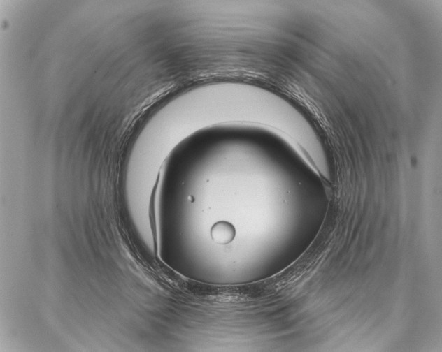 X0000086930356200705071359