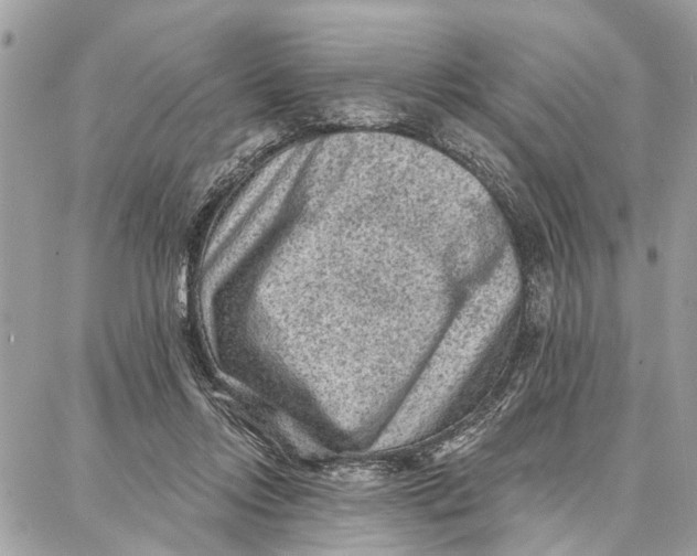 X0000086930358200705071359