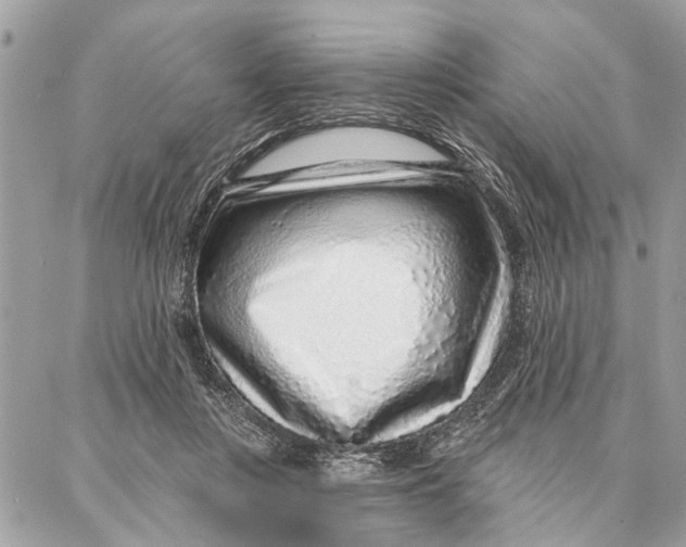 X0000086930359200705071359