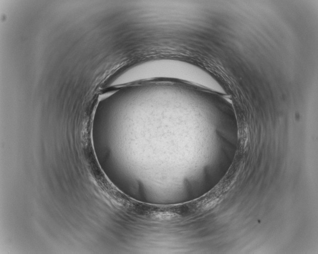 X0000086930360200705071359