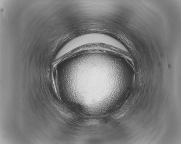 X0000086930361200705071359