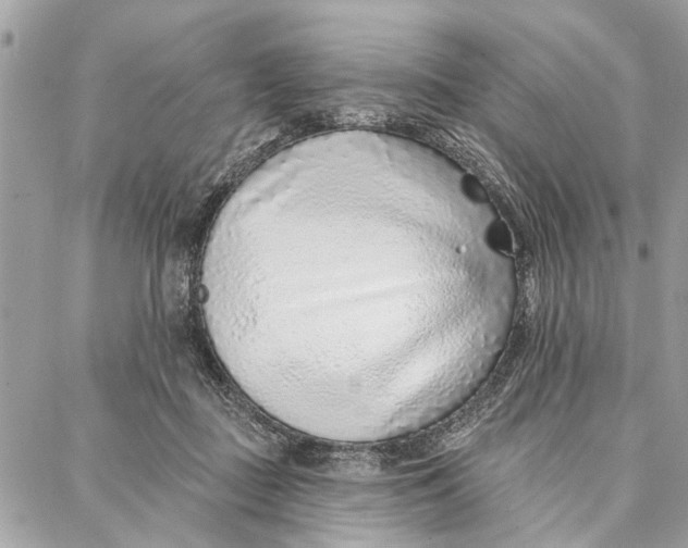 X0000086930363200705071359