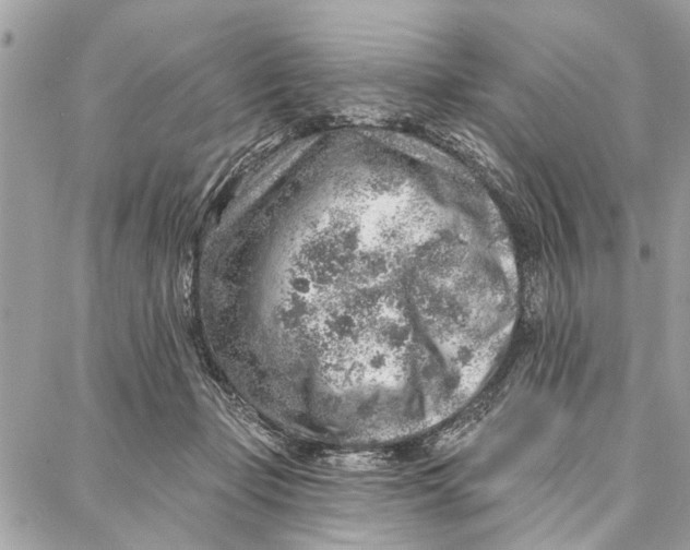 X0000086930365200705071359