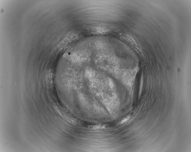 X0000086930366200705071359