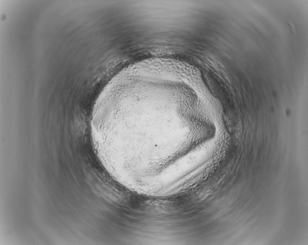 X0000086930367200705071359