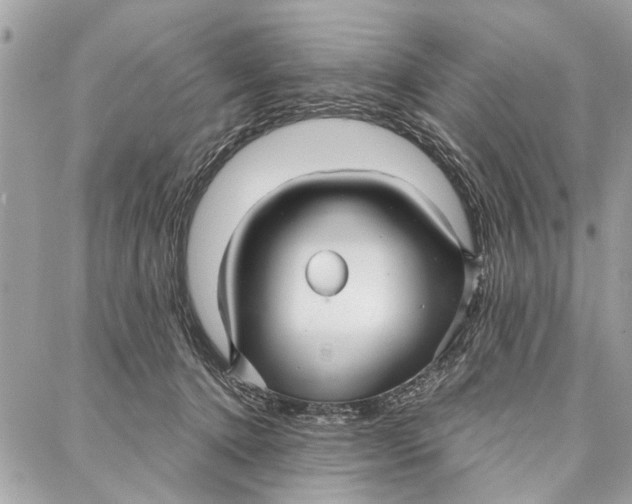 X0000086930368200705071359