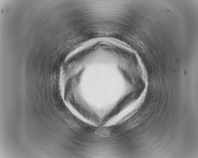 X0000086930369200705071359