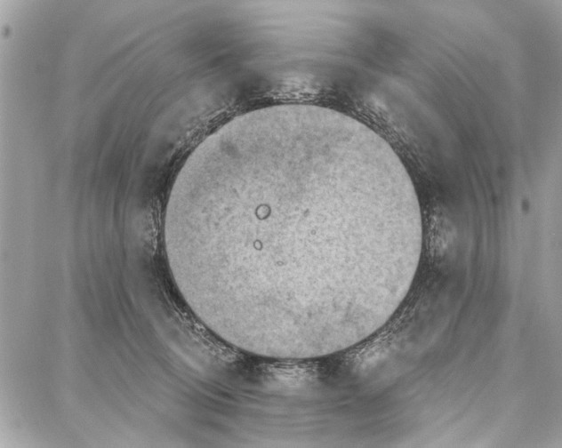 X0000086930370200705071359