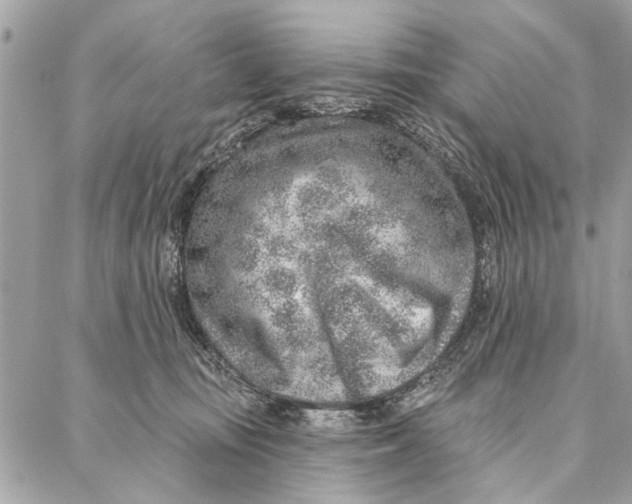 X0000086930371200705071359