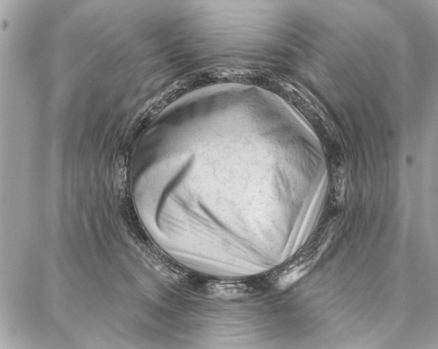 X0000086930372200705071359