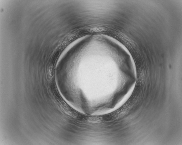 X0000086930373200705071359