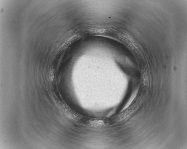 X0000086930374200705071359