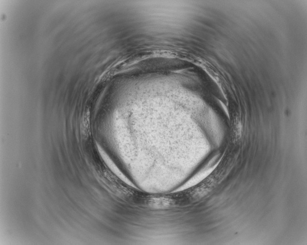 X0000086930376200705071359