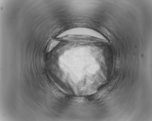 X0000086930377200705071359