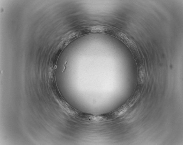 X0000086930379200705071359