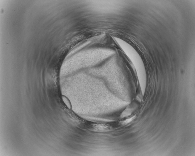 X0000086930380200705071359