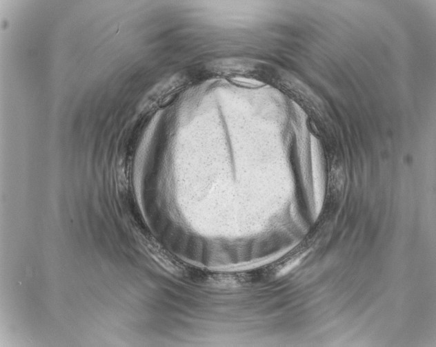 X0000086930381200705071359