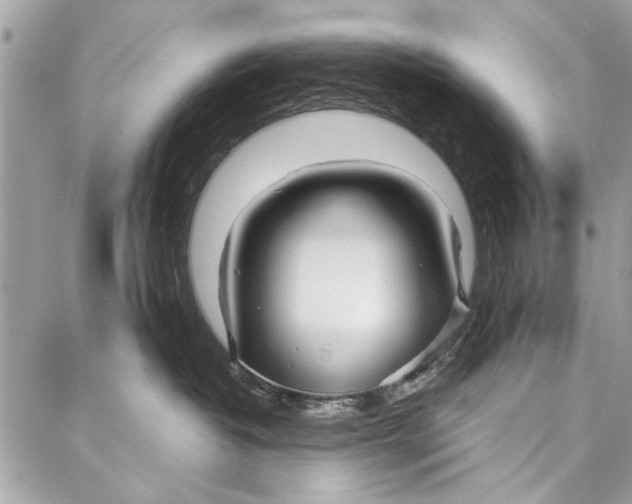 X0000086930382200705071359