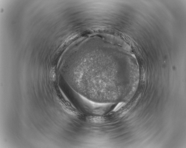 X0000086930383200705071359